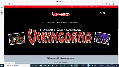 vikingarnashop.se